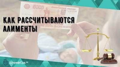 Как долго ожидать первые алименты: сроки и процедура получения