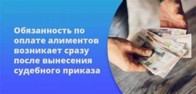 Инструкция для родителей, нуждающихся в получении алиментов