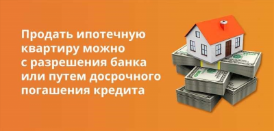 Как продать ООО?