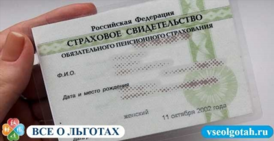 Как проверить стаж работы по СНИЛС онлайн