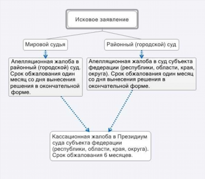 Можно ли подать кассацию без апелляции на арбитражное определение суда