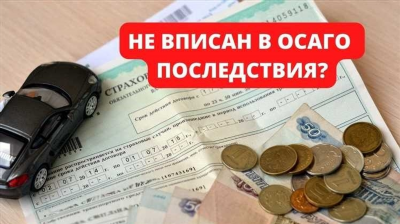 Как по номеру полиса ОСАГО узнать водителей